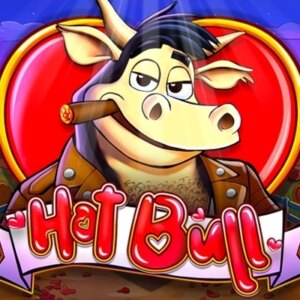 Hot Bull Champion